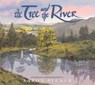 Tree and the River - Aaron Becker - 9798855009675