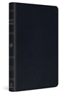 ESV Large Print Thinline Bible - Esv Bibles - 9798874906702