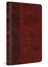 ESV Large Print Thinline Bible, Red Letter (Trutone, Burgundy/Red, Timeless Design) - Esv Bibles - 9798874908997