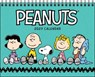 PEANUTS® 2027 Monthly Desk Calendar -  - 9798881610555