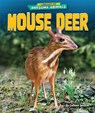 MOUSE DEER - Colleen Sexton - 9798885091176
