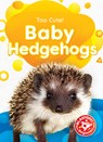 Baby Hedgehogs - Elizabeth Neuenfeldt - 9798886871968