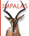 Impalas - Mari Bolte - 9798896800088