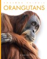 Orangutans - Mari Bolte - 9798896800101