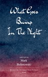 What Goes Bump In The Night An exploration of those places we tend to avoid because they haunt us. - Mark Bolanowski - 9798900811376