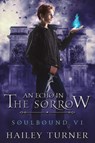 An Echo in the Sorrow - Hailey Turner - 9798985746372