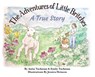 The Adventures of Little Britches - Emily Tuchman ; Anita Tuchman - 9798992918625