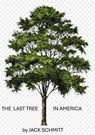 The Last Tree in America - Jack Schmitt - 9798999913630