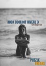 300X DOOLHOF NIVEAU 3 - Puzzle Freaks - 9789464188776