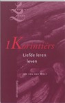 1 Korintiërs - Jan van der Wolf - 9789023923190