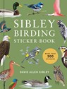 Sibley Birding Sticker Book - David Allen Sibley - 9780593800140