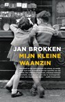 Mijn kleine waanzin - Jan Brokken - 9789045037738