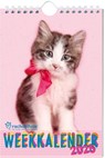 Rachael Hale Katten weekkalender - 2025 - Interstat - 9789464327342