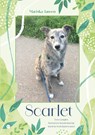 Scarlet - Mariska Jansen - 9789465447223