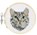 Mini Cross Stitch Borduurset - Kat, niet bekend - Overig - 0612615117334