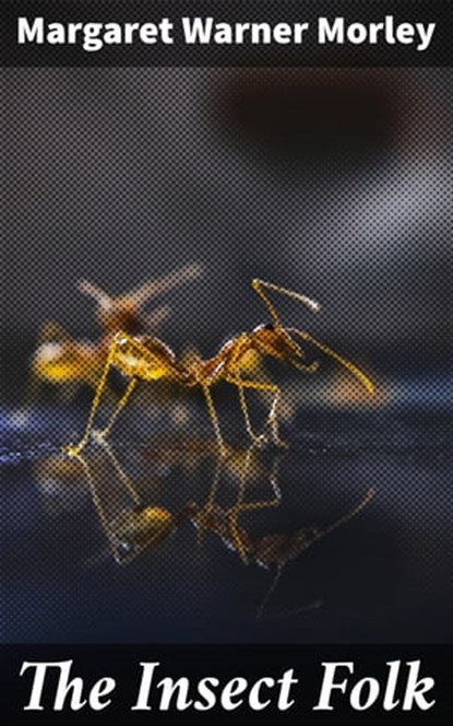 The Insect Folk, Margaret Warner Morley - Ebook - 4057664173973