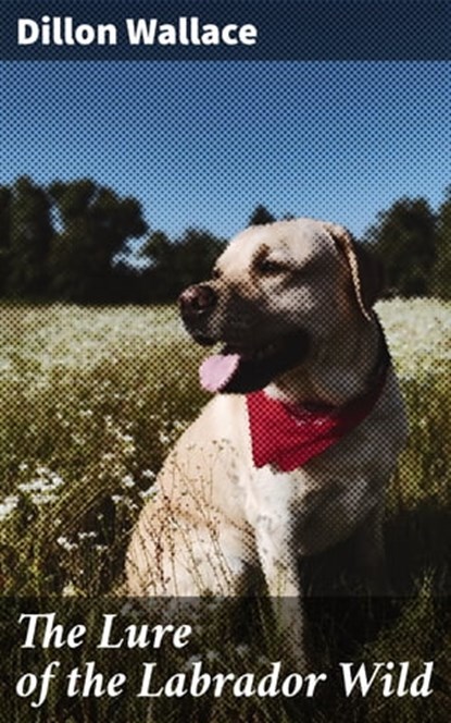 The Lure of the Labrador Wild, Dillon Wallace - Ebook - 4057664562289