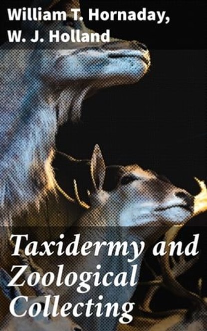 Taxidermy and Zoological Collecting, W. J. Holland ; William T. Hornaday - Ebook - 4057664562296