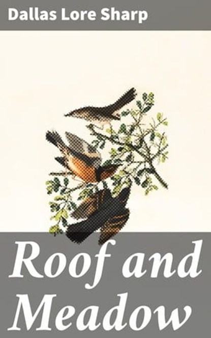Roof and Meadow, Dallas Lore Sharp - Ebook - 4057664570253