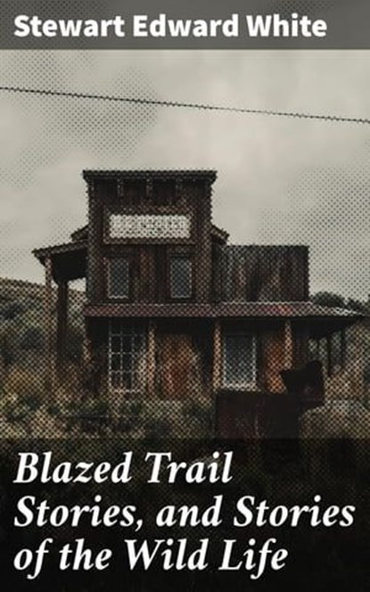 Blazed Trail Stories, and Stories of the Wild Life, Stewart Edward White - Ebook - 4057664583956