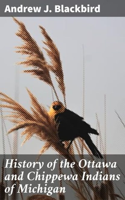 History of the Ottawa and Chippewa Indians of Michigan, Andrew J. Blackbird - Ebook - 4057664588494