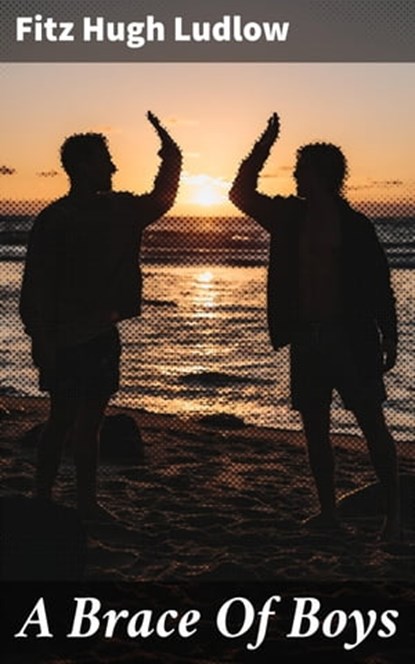 A Brace Of Boys, Fitz Hugh Ludlow - Ebook - 4064066105822