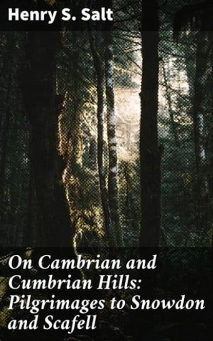 On Cambrian and Cumbrian Hills: Pilgrimages to Snowdon and Scafell, Henry S. Salt - Ebook - 4064066138059