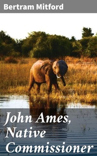 John Ames, Native Commissioner, Bertram Mitford - Ebook - 4064066174224