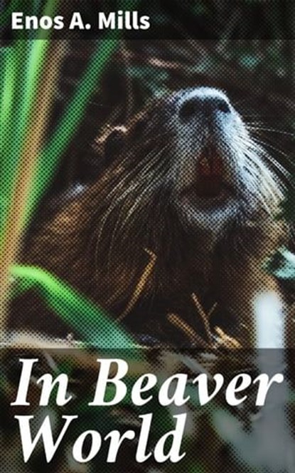In Beaver World, Enos A. Mills ; Keaton Dalesworth - Ebook - 4064066186173