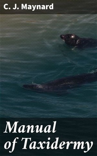 Manual of Taxidermy, C. J. Maynard - Ebook - 4064066249649