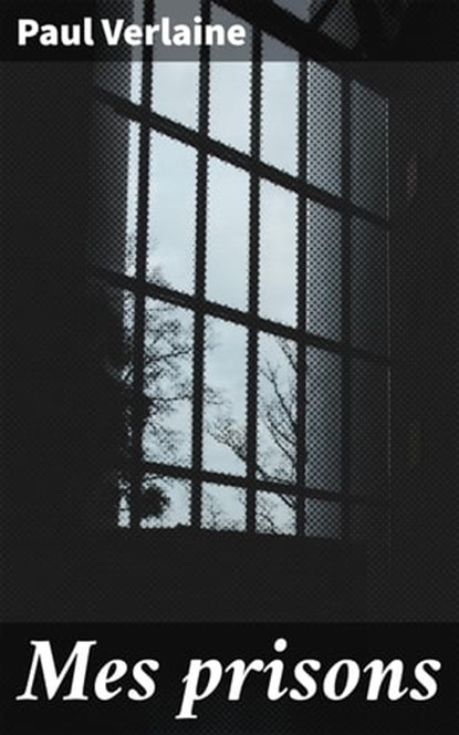 Mes prisons, Paul Verlaine - Ebook - 4064066303334