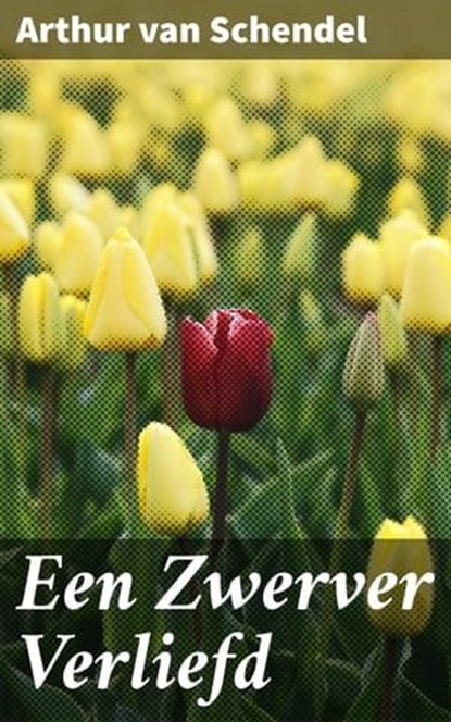 Een Zwerver Verliefd, Arthur van Schendel - Ebook - 4064066314460