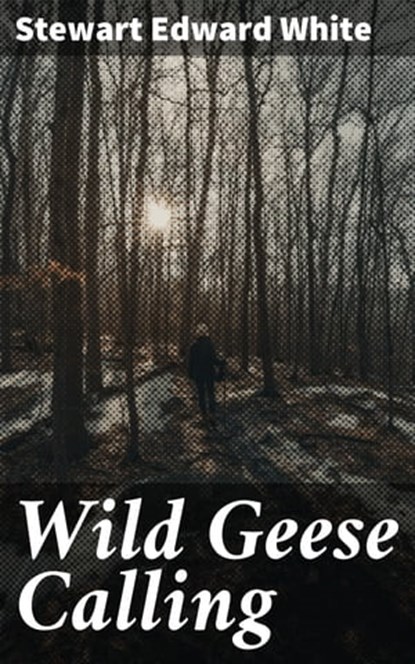 Wild Geese Calling, Stewart Edward White - Ebook - 4064066356323