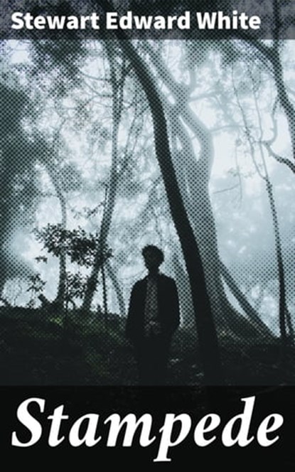 Stampede, Stewart Edward White - Ebook - 4064066357399