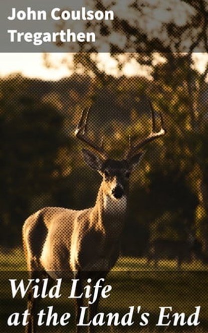 Wild Life at the Land's End, John Coulson Tregarthen ; Blake Rees - Ebook - 4064066359782