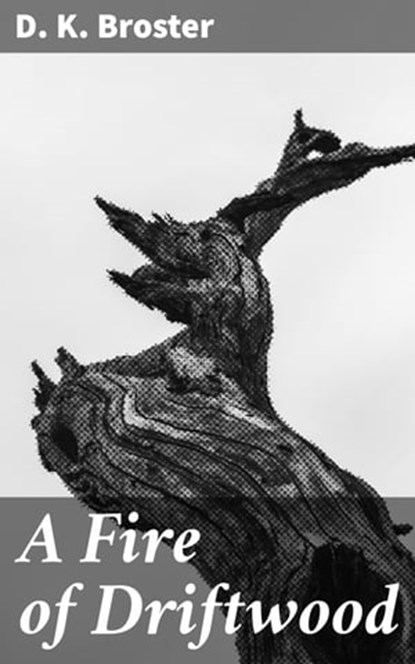 A Fire of Driftwood, D. K. Broster - Ebook - 4064066368227
