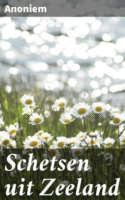 Schetsen uit Zeeland, Anoniem - Ebook - 4064066402341