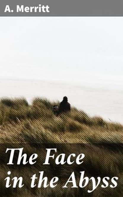 The Face in the Abyss, A. Merritt ; Taylor Winslet - Ebook - 4064066410353