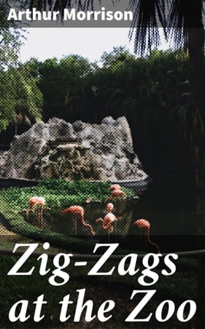 Zig-Zags at the Zoo, Arthur Morrison ; Jamie Hicks - Ebook - 4066338086921