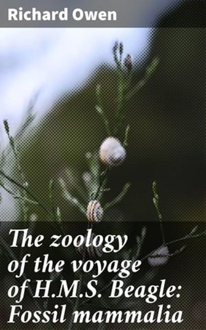 The zoology of the voyage of H.M.S. Beagle: Fossil mammalia, Richard Owen - Ebook - 4066339525177