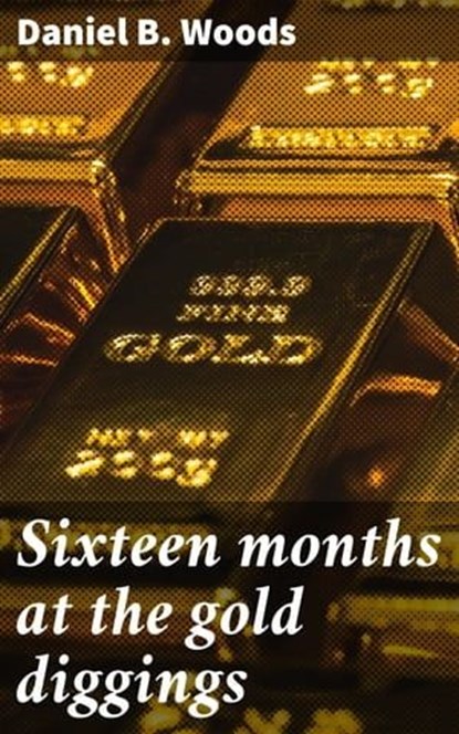 Sixteen months at the gold diggings, Daniel B. Woods - Ebook - 4066339525511