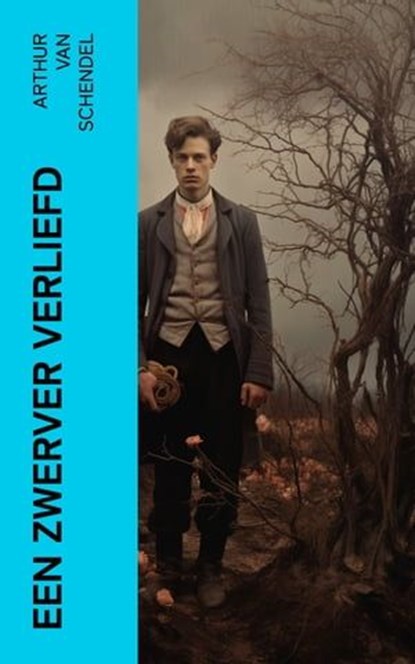 Een Zwerver Verliefd, Arthur van Schendel - Ebook - 4066339563582
