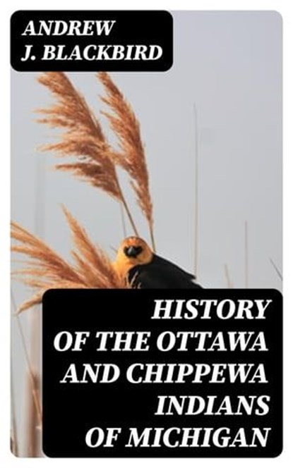 History of the Ottawa and Chippewa Indians of Michigan, Andrew J. Blackbird - Ebook - 8596547023821