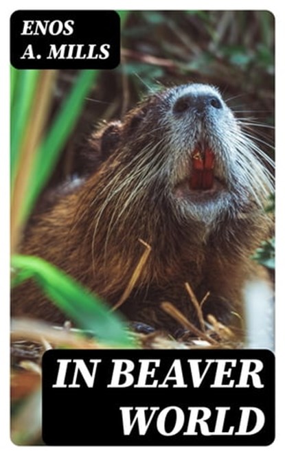 In Beaver World, Enos A. Mills ; Adrian Foxley - Ebook - 8596547048077