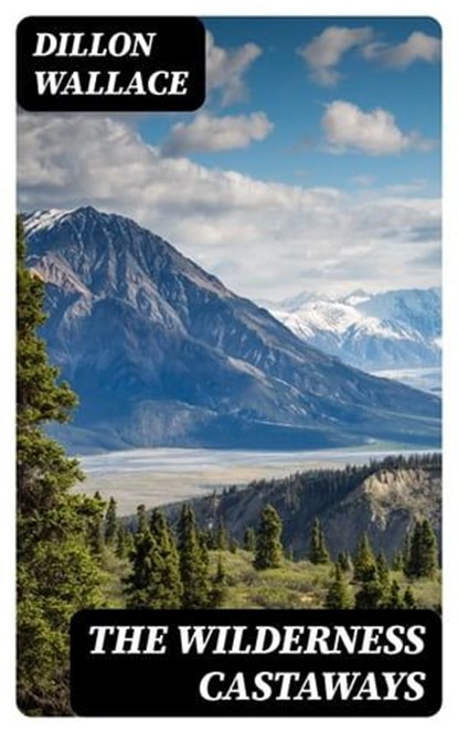 The Wilderness Castaways, Dillon Wallace - Ebook - 8596547049043