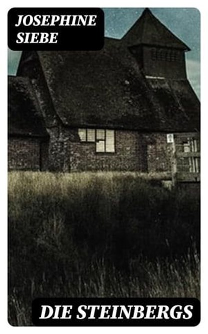Die Steinbergs, Josephine Siebe - Ebook - 8596547078401