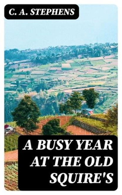A Busy Year at the Old Squire's, C. A. Stephens - Ebook - 8596547242994