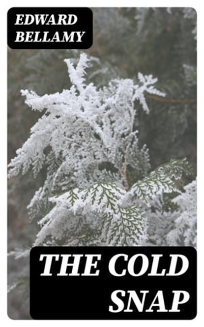 The Cold Snap, Edward Bellamy - Ebook - 8596547334958