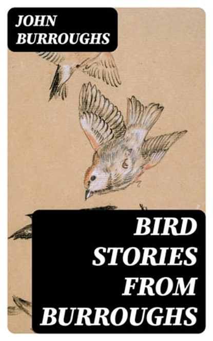 Bird Stories from Burroughs, John Burroughs - Ebook - 8596547358428