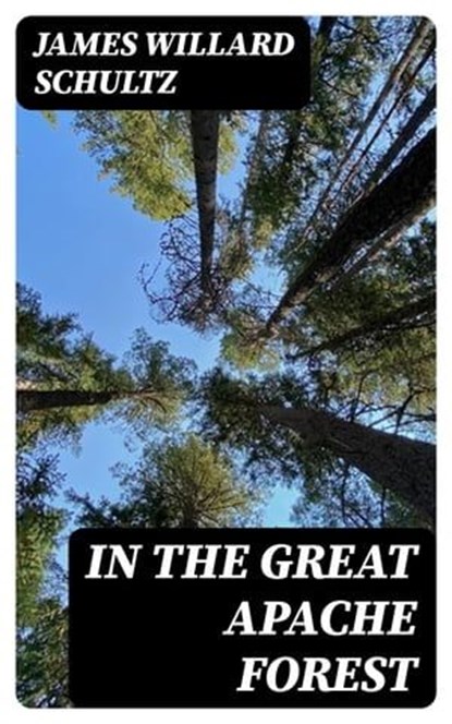 In the Great Apache Forest, James Willard Schultz - Ebook - 8596547401315